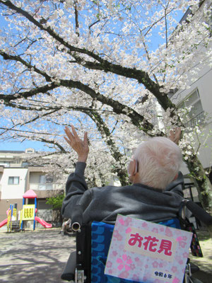 お花見