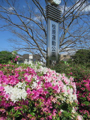 外出行事（桧原運動公園）