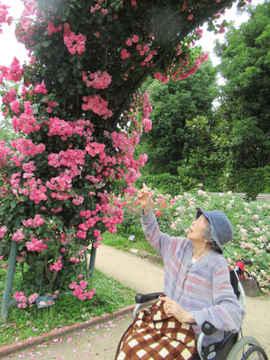 植物園へ外出！