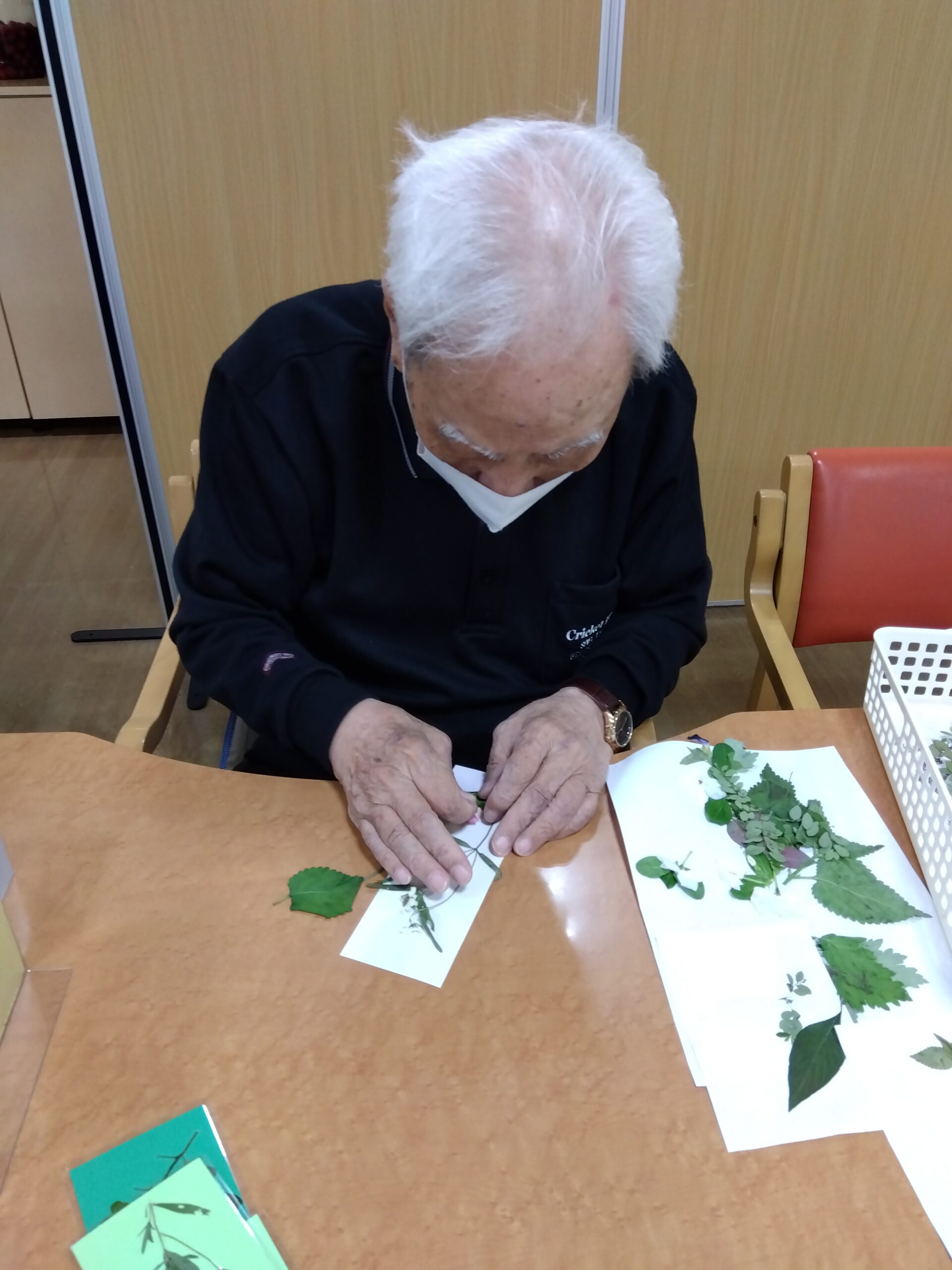 【デイ】押し花作り